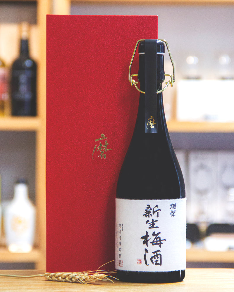 獺祭 新生梅酒 2025