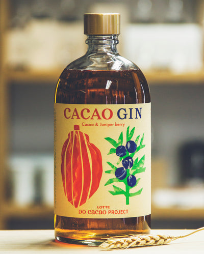 LOTTE CACAO GIN