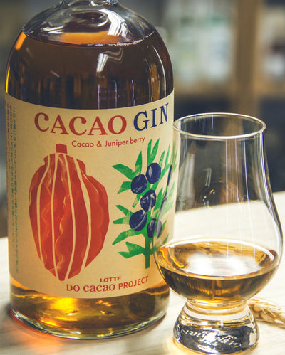 LOTTE CACAO GIN