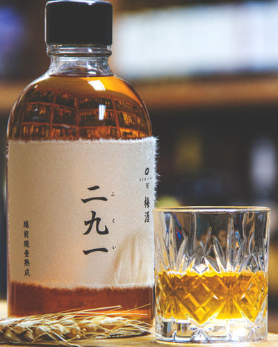 Benichu 越前燒壼熟成 梅酒 二九一（ふくい）