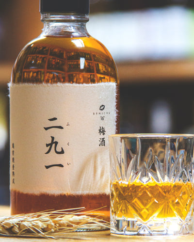 Benichu 越前燒壼熟成 梅酒 二九一（ふくい）